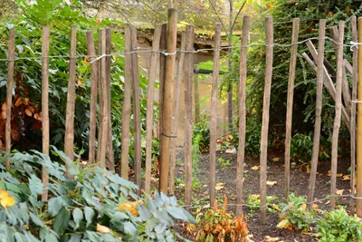 DSC_0691 (Large).JPG